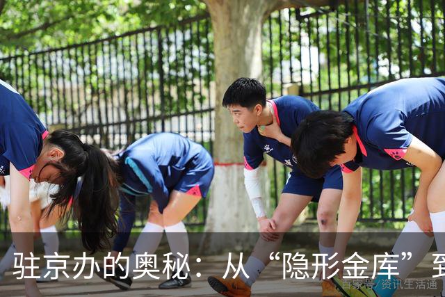 驻京办的奥秘：从“隐形金库”到“被迫关门”的传奇