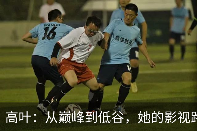 高叶：从巅峰到低谷，她的影视路有多坎坷？